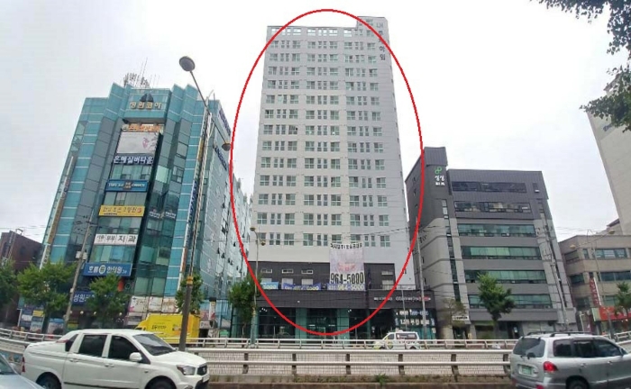 고양제비 이미지