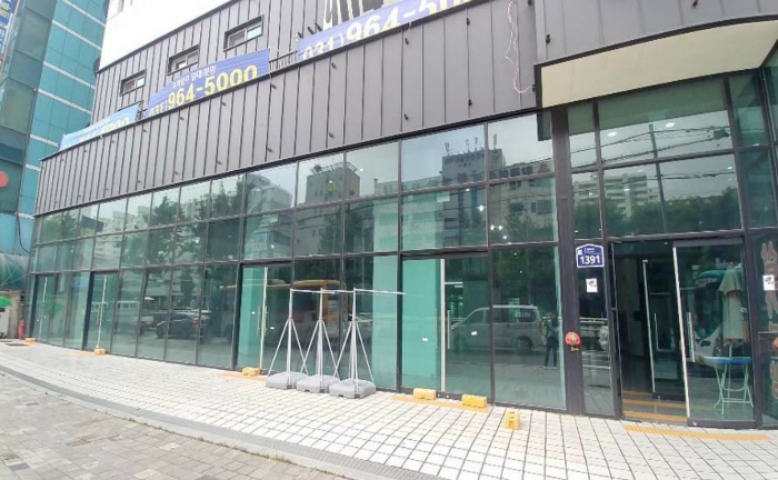 고양제비 이미지
