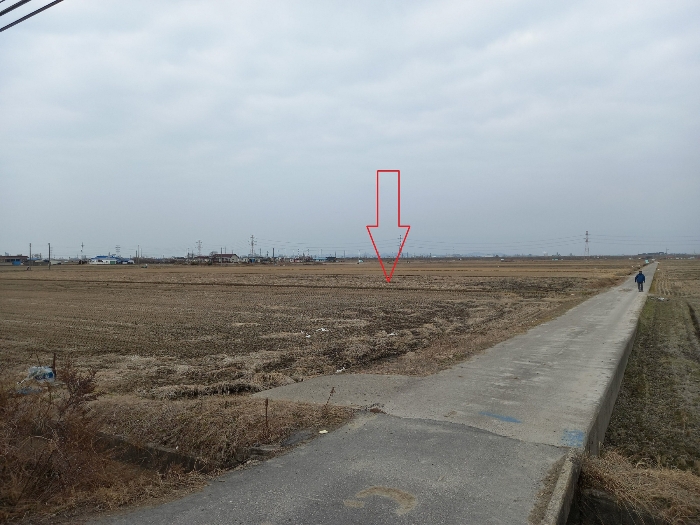 군산문창초등학교 이미지