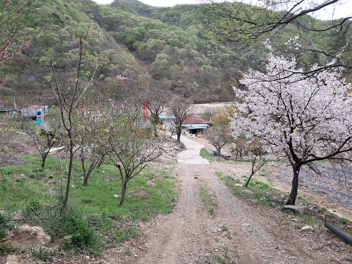동상면 소재지 이미지