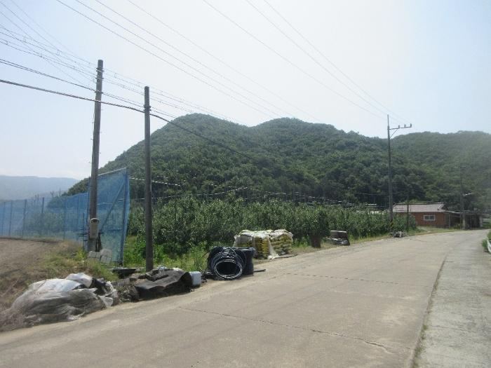 더과수원 이미지