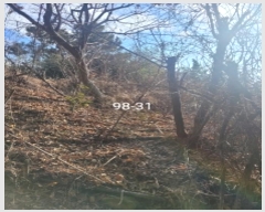  2023Ÿ5903 λ 屺 ϱ  98-21      ()