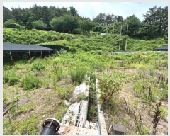  2023Ÿ2307 泲 뿵 緮  171      