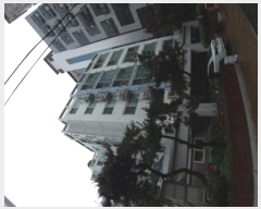  2024Ÿ122944   峪22 5, 6 601ȣ (굿, Ѽֱ׶ġ)   Ʈ