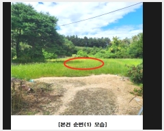  2024Ÿ116409 泲 ݻ걺 ݻ  306-1      ()