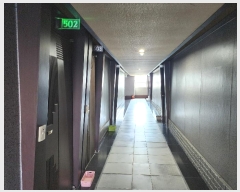  2024Ÿ110813 泲 ƻ õ1417 19       ڽü,,ȣ,