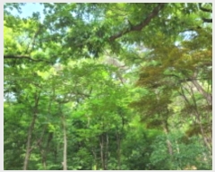  2024Ÿ111169 뱸   150       (Ӿ)