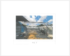  2024Ÿ1421  ()