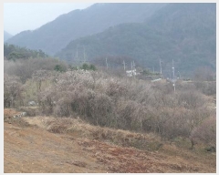  2024Ÿ10417 泲 Ծ籺 õ û 781      ()