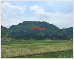  2024Ÿ10851 泲 õ ﰡ  38      (Ӿ)