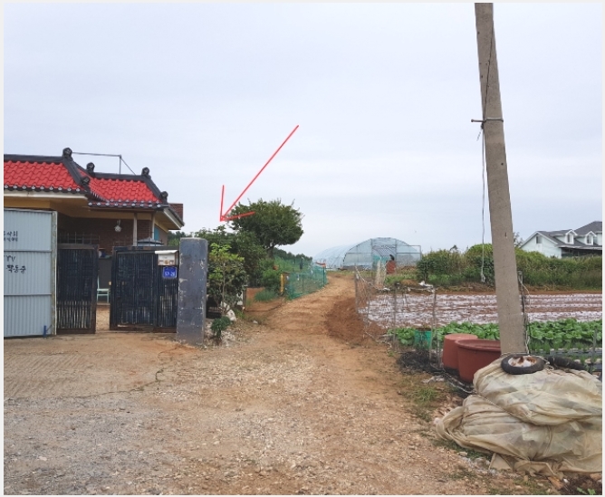 황도리 이미지