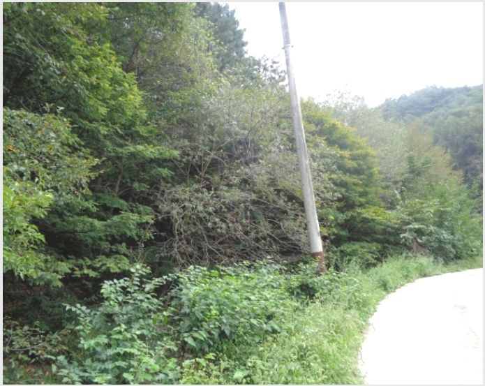 산전리(횡성) 이미지