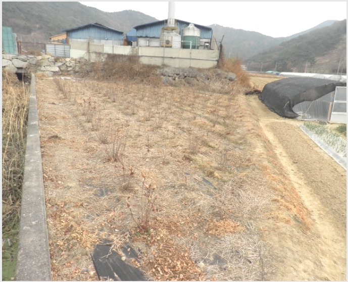 더과수원 이미지