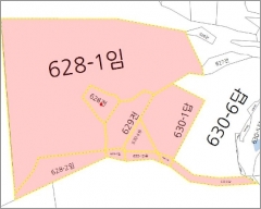  2021타경100603  토지(대지)경매